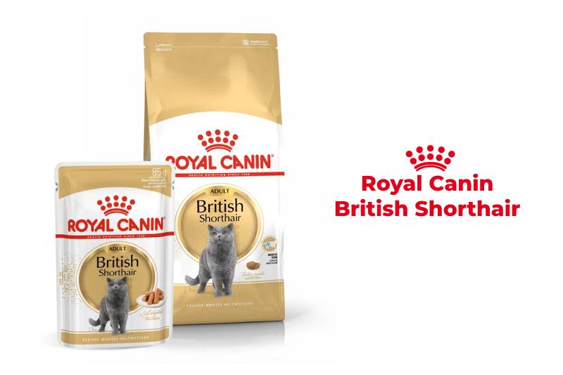 Royal Canin для британских кошек