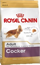 Royal Canin/COCKER ADULT/д/собак кокер-спаниель