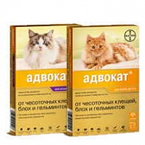 Адвокат д/кошек более 4 кг /1 ПИПЕТКА