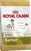 Royal Canin/SETTER/д/собак сеттер